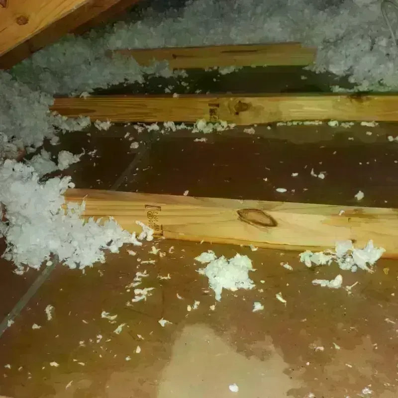 Attic Water Damage in Selmer, TN