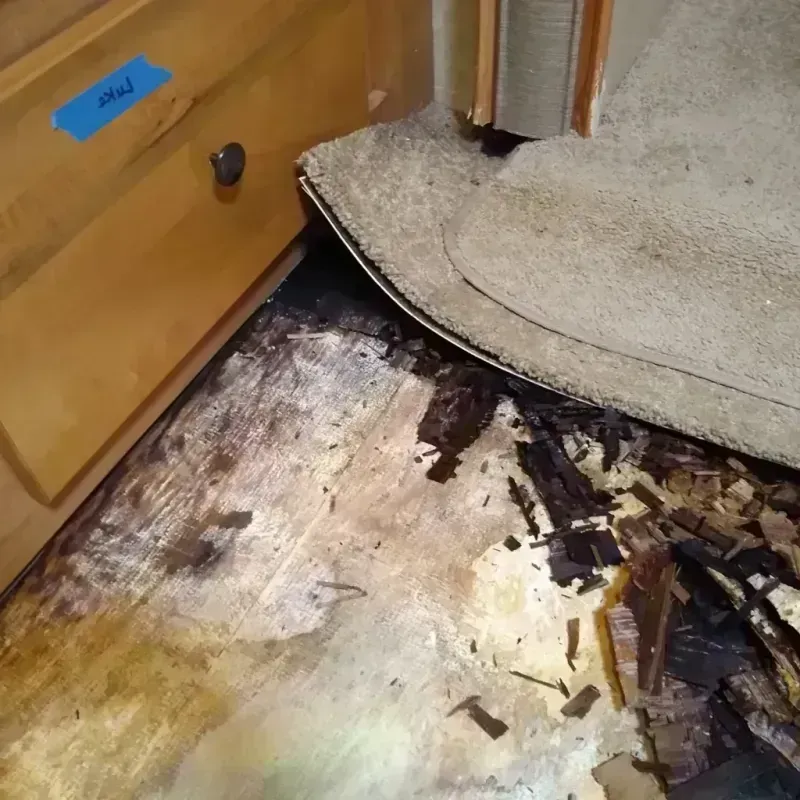 Best Wood Floor Water Damage Service in Selmer, TN